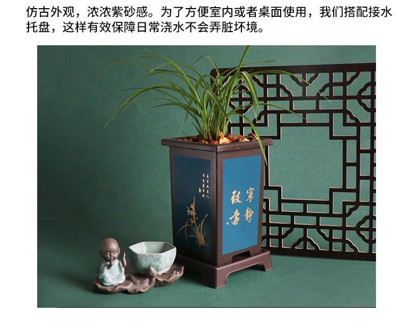 Cymbidium Orchids resin Pots - Rectangular Square Resin Plastic Flower Pot no tray