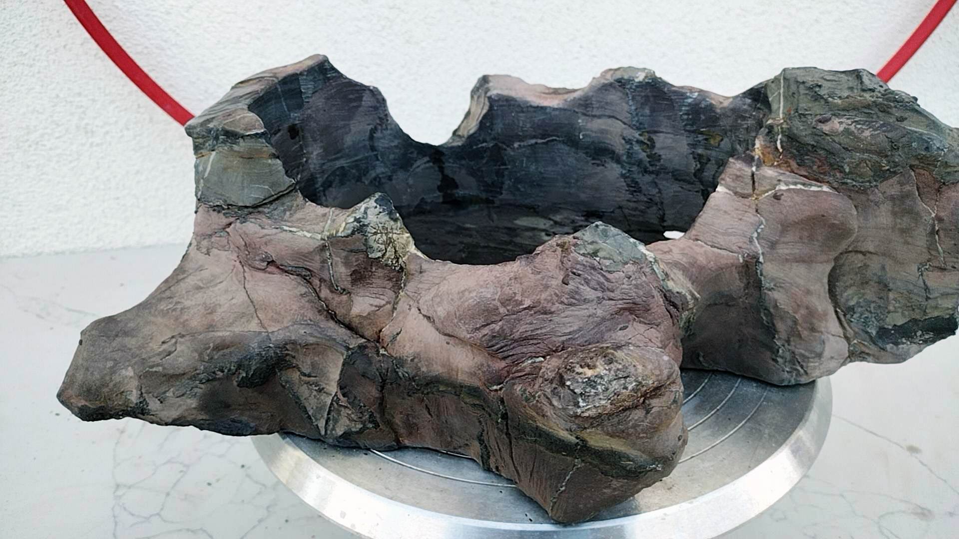 Natural Lingbi Stone Bonsai Pot 04- Whole-Piece Unique Landscape Viewi –  CYMUS Nurery