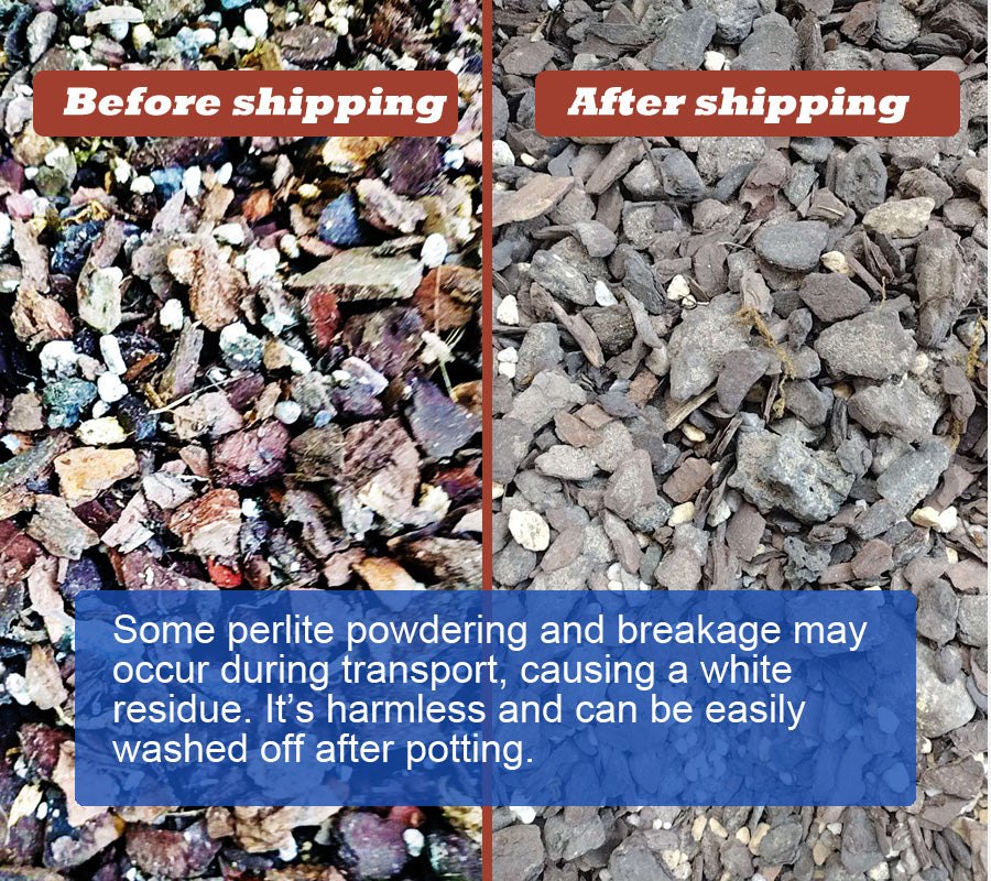 Comparison of perlite before and after shipping with text about perlite powdering and breakage.