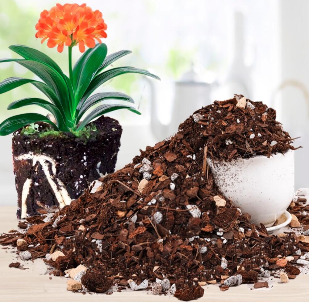 orchid potting mix for clivia Special Nutrient Soil for Clivia Potting Soil Mix, Custom Blend for Growing and Repotting 1.5L/bag