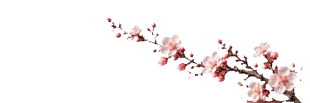 Japanese Apricot for Sale