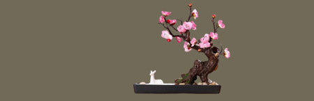 bonsai plum blossom