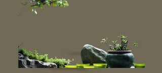 Purple sand pots