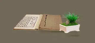 Calamus