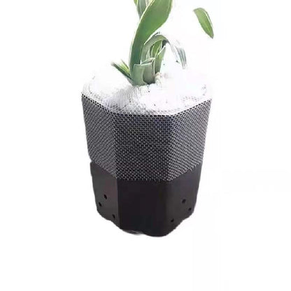 Orchid protective net 兰花盆套防护网 3 ft-16ft