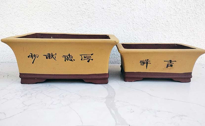 Purple Sand Bonsai Pot Handmade Bonsai Pot Hand Drawn Purple Clay Bonsai Basin