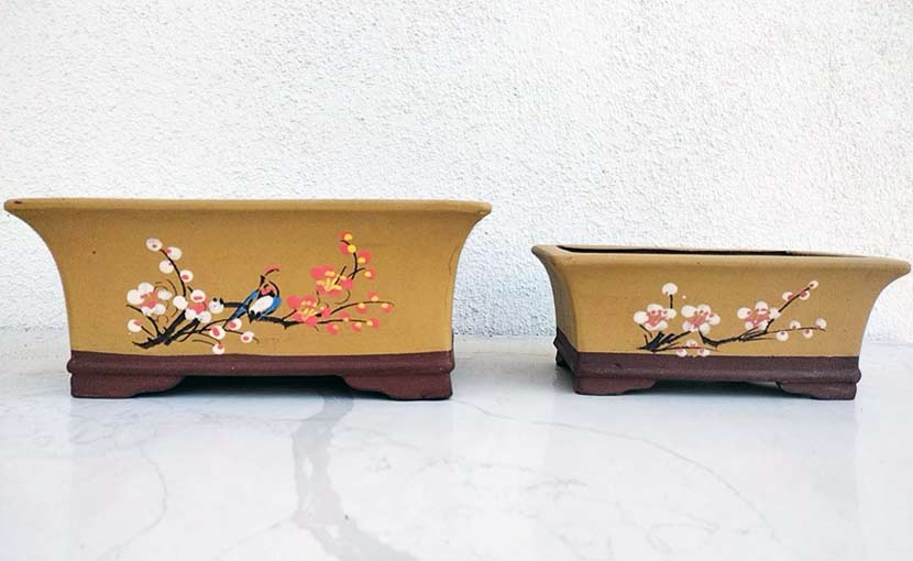 Purple Sand Bonsai Pot Handmade Bonsai Pot Hand Drawn Purple Clay Bonsai Basin