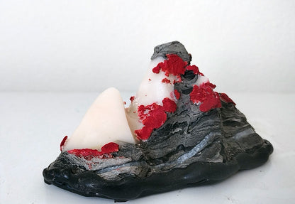 Natural Jade Rock Create a Landscape for your Fairy Garden, Bonsai, place it next to the desk or window for indoor decoration 玉化景观石