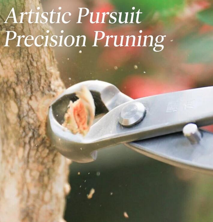 CYMUS Premium 440C Stainless Steel Bonsai Tools – Built for Precision & Longevity