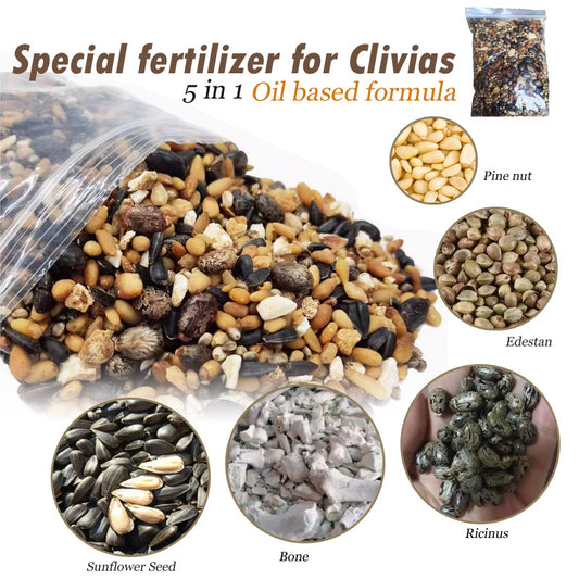 Special Fertilizer for Clivias 君子兰油性肥 5in1 Oil-based 200g 400g