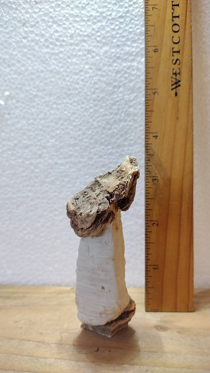 Thousand layered stone – All Natural, Natural Landscape bonsai Stone 盆景石 China Natural stone Mountain stones