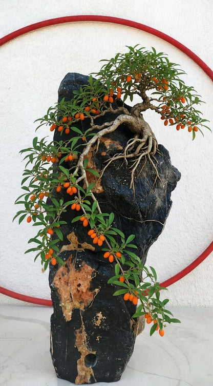 Whole Natural Landscape bonsai Stone pot with hole China solid natural stone ornament