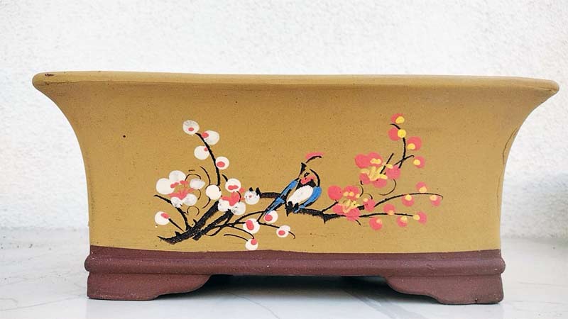 Purple Sand Bonsai Pot Handmade Bonsai Pot Hand Drawn Purple Clay Bonsai Basin