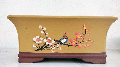 Purple Sand Bonsai Pot Handmade Bonsai Pot Hand Drawn Purple Clay Bonsai Basin