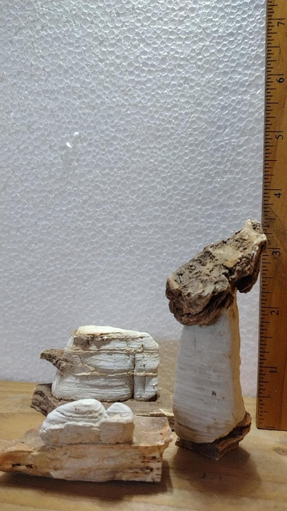 Thousand layered stone – All Natural, Natural Landscape bonsai Stone 盆景石 China Natural stone Mountain stones