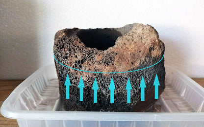 Lava Rock pots – All Natural, Perfect for Succulents and Air Plants.Carved rock planter. Planter pot for Calamus, bonsai, Moss