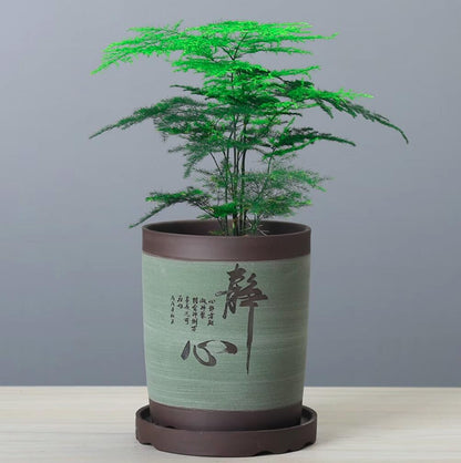 5inch 6inch Purple Sand Large caliber breathable flower pot with holes pot-透气紫砂直筒花盆