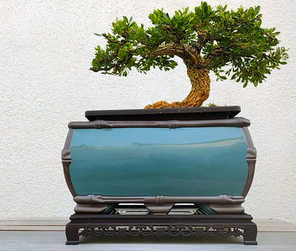 Purple Sand Bonsai Pot handmade The Song porcelain kiln Pot with tray simple retro breathable Pot ZiSha Planter 哥窑盆景盆