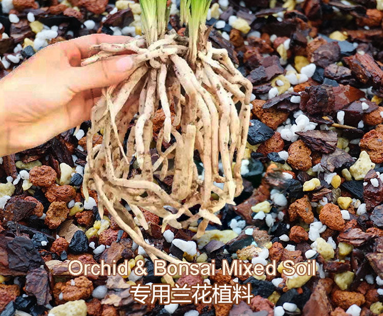 A hand holding the roots of a plant, showing a mixture of soil and fertilizer granules of various sizes.