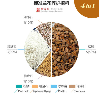 Common plant material for orchids -混合兰花植料  标准专业兰花土 至尊营养兰花土 1.5L/bag CYMUS Orchids Sale