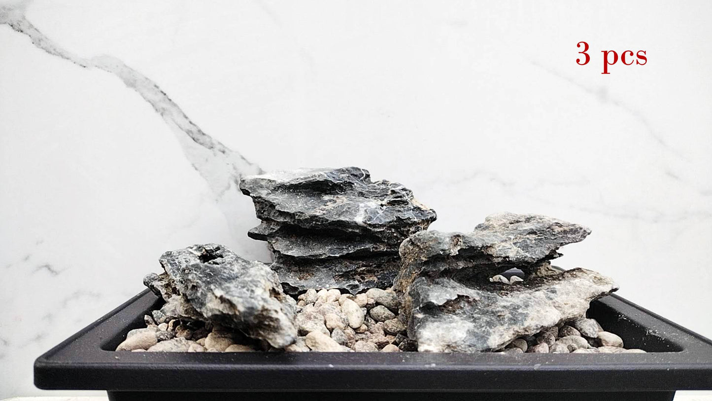 Qinglong Stone – All Natural, Natural Landscape bonsai Stone 青龙石 Natural stone