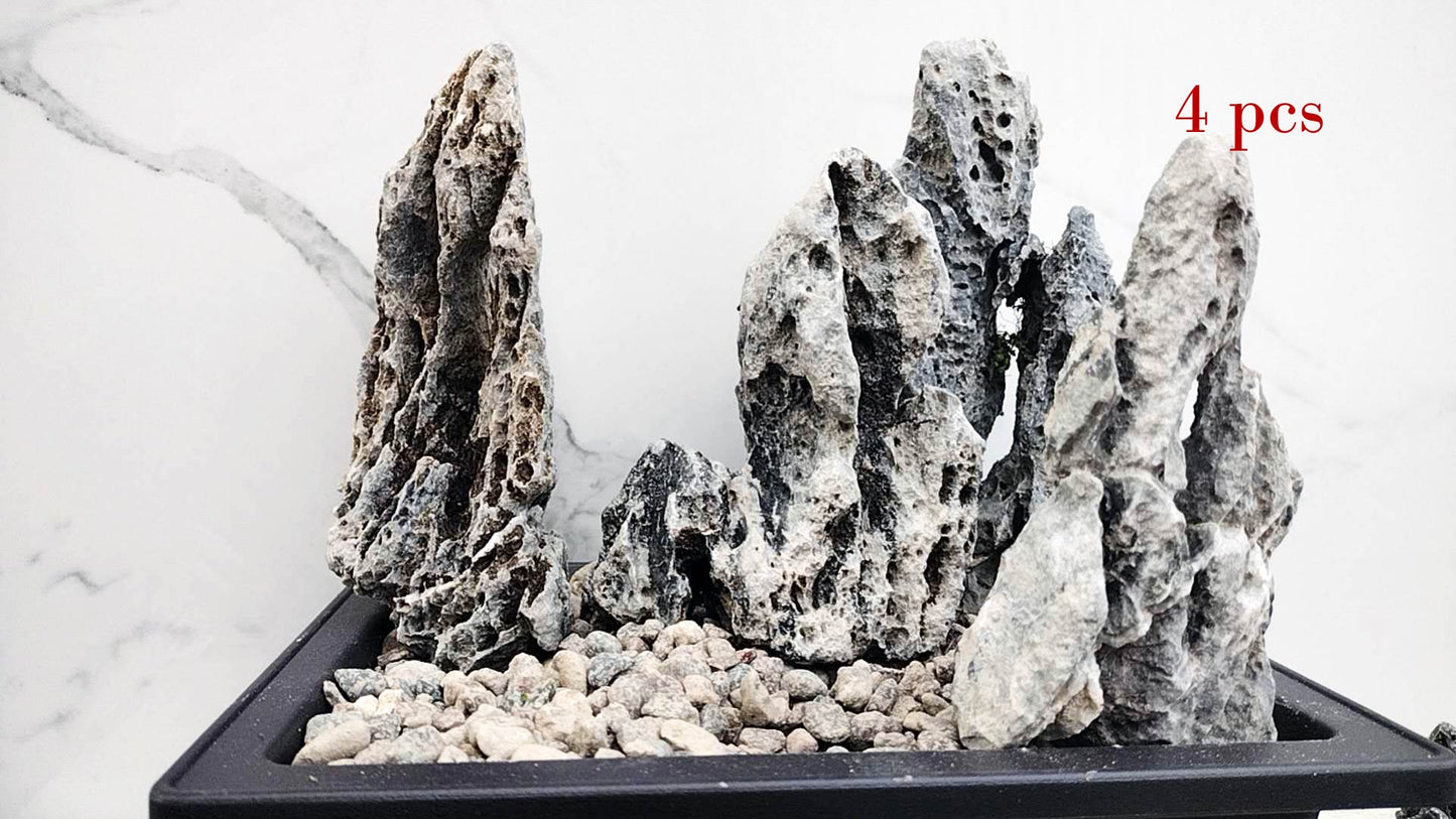 Qinglong Stone – All Natural, Natural Landscape bonsai Stone 青龙石 Natural stone