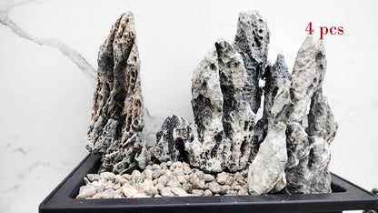 Qinglong Stone – All Natural, Natural Landscape bonsai Stone 青龙石 Natural stone