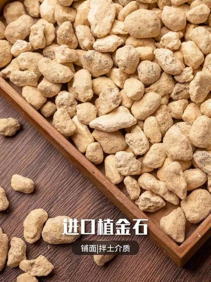 Japanese Hyuga Pumice 植金石 Orchid & Bonsai Tree Soil - Small Grain 2L/bag