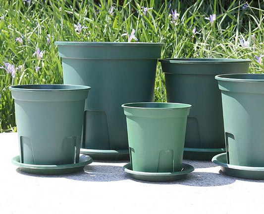 QingShan flower pot with holes & Side vent  Orchid pot 兰花专用青山盆