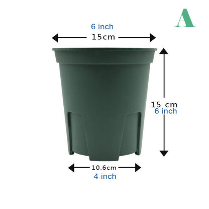 QingShan flower pot with holes & Side vent  Orchid pot 兰花专用青山盆