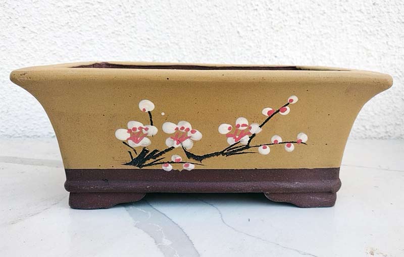 Purple Sand Bonsai Pot Handmade Bonsai Pot Hand Drawn Purple Clay Bonsai Basin